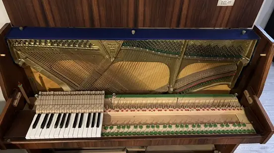 רמיאל מזין מכוון פסנתר