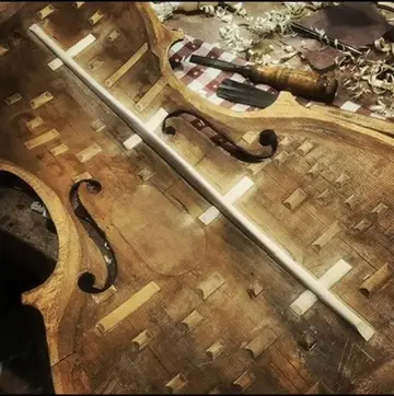 תמונה 10