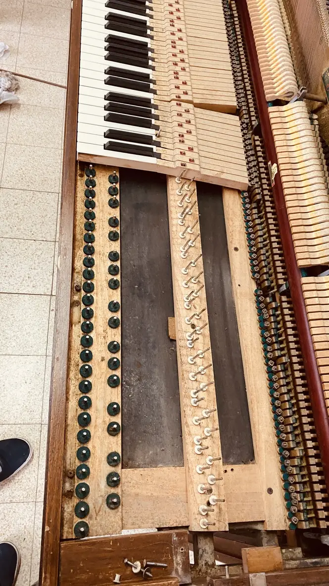 תמונה 6
